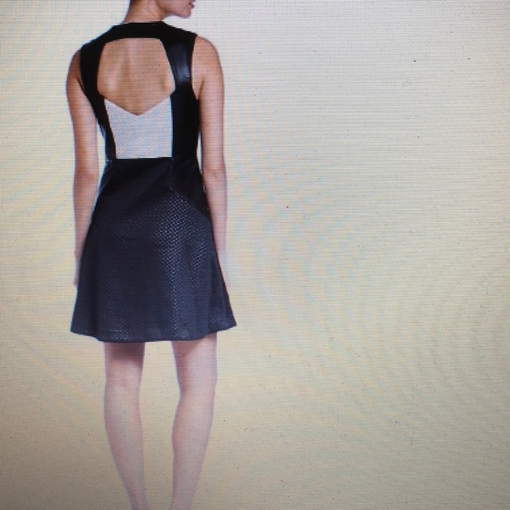 Rachel Rachel Roy dress.